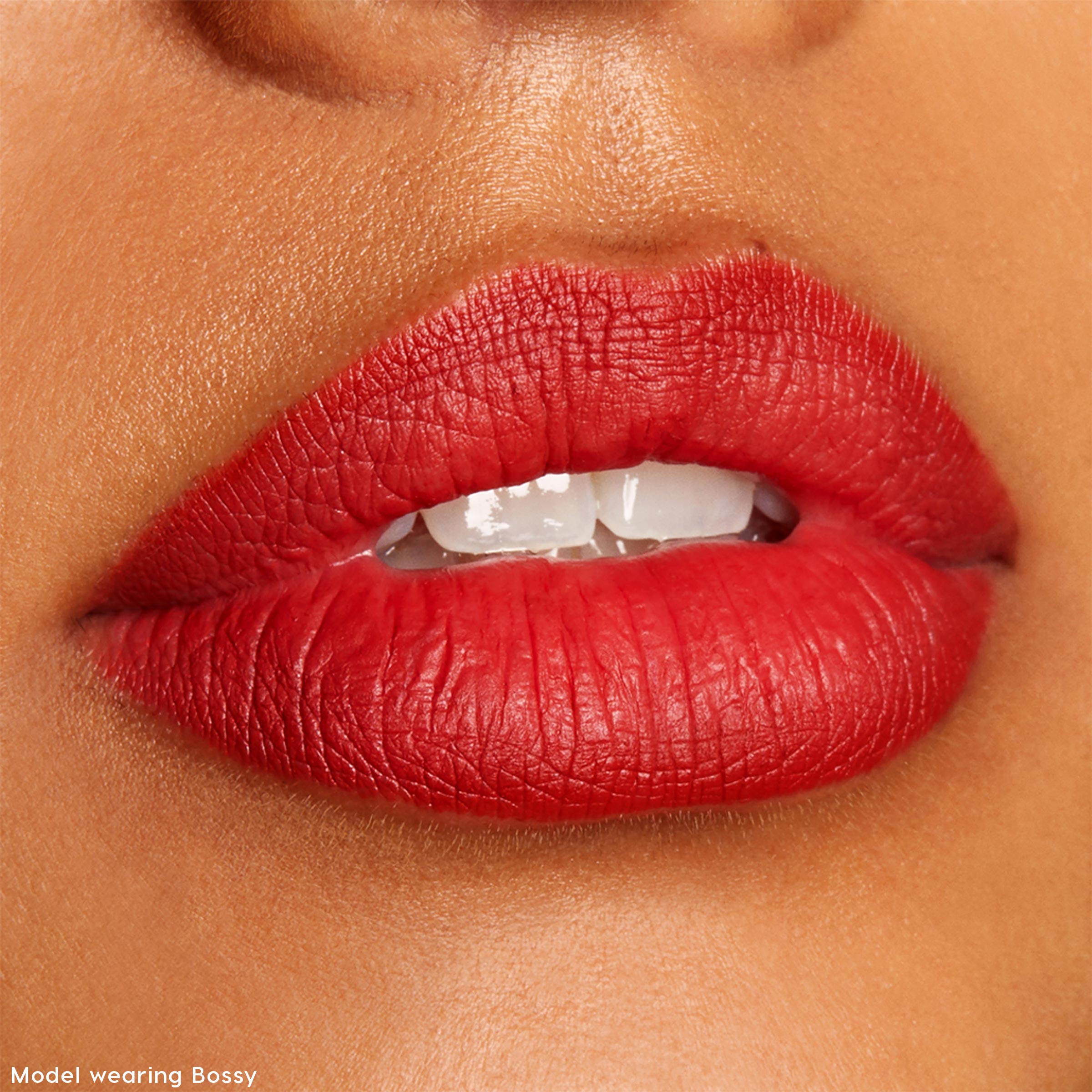 Lippie Pencil Vault - ColourPop